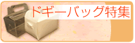 �h�M�[�o�b�O���W